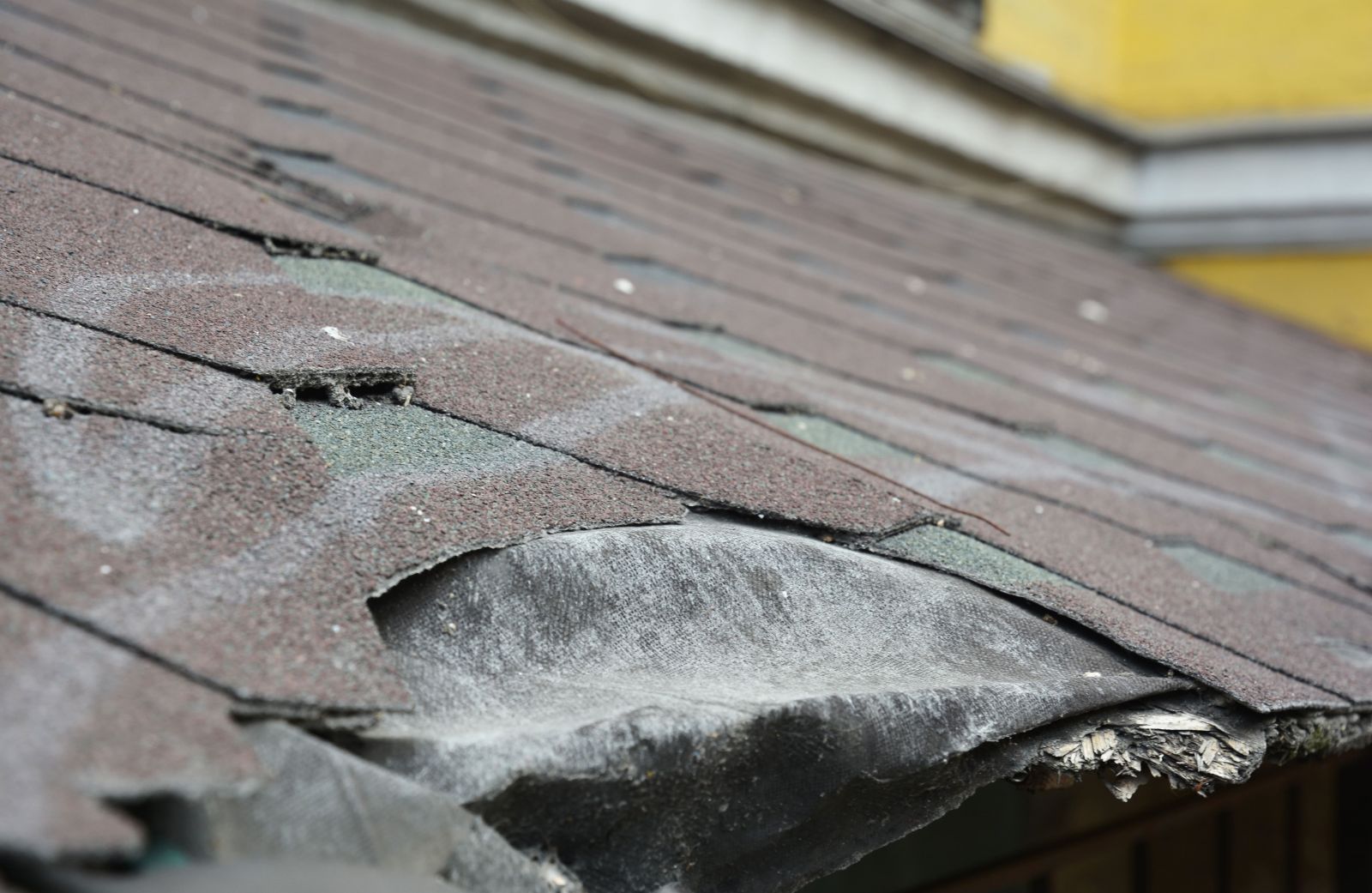 Hernandez Construction and Roof Inc. Images