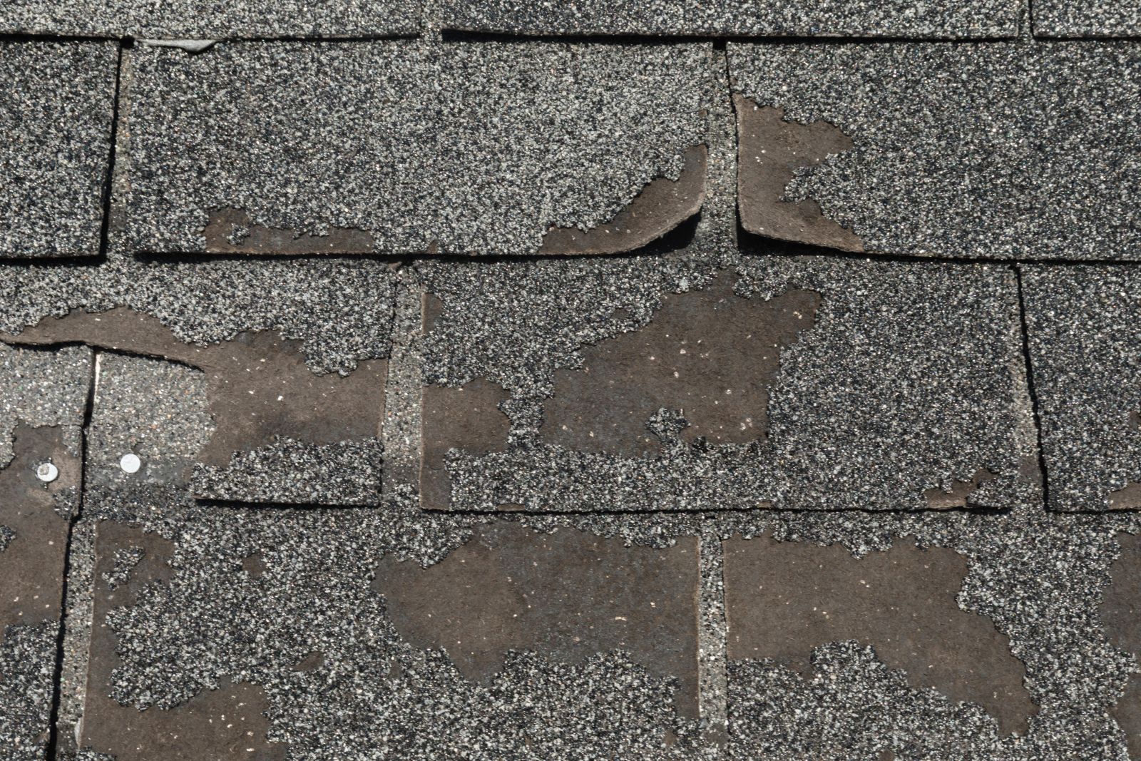 Hernandez Construction and Roof Inc. Images